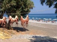 Polpi ad essiccare fuori da una taverna, una tipica immagine della cucina Greca