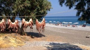 Polpi ad essiccare fuori da una taverna, una tipica immagine della cucina Greca