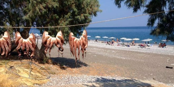 Polpi ad essiccare fuori da una taverna, una tipica immagine della cucina Greca