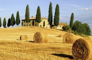 Panorama della campagna Toscana