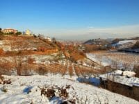 Un'azienda vinicola in Piemonte