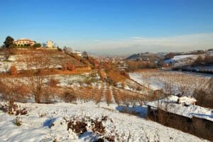 Un'azienda vinicola in Piemonte