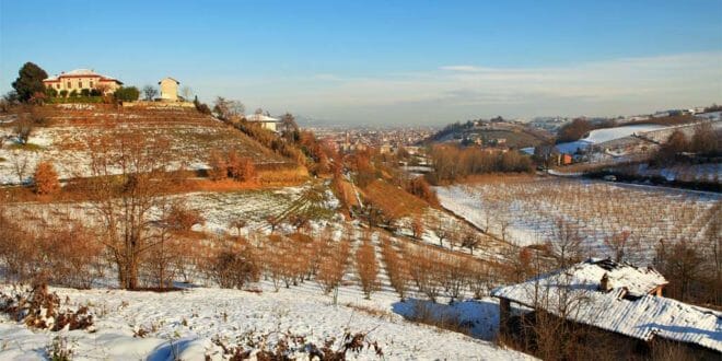 Un'azienda vinicola in Piemonte