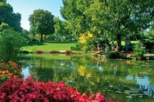 Giardino Sigurtà: alla scoperta del parco