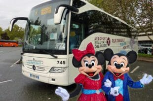 Da Beauvais a Disneyland