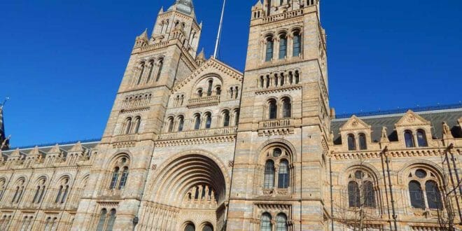 Museo Storia Naturale di Londra, l'edificio